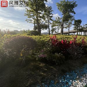 小泽一郎和妻子的友情背景故事
